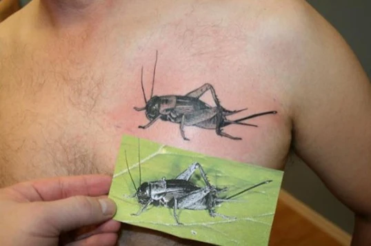 tatuajes de animales que traen buena suerte