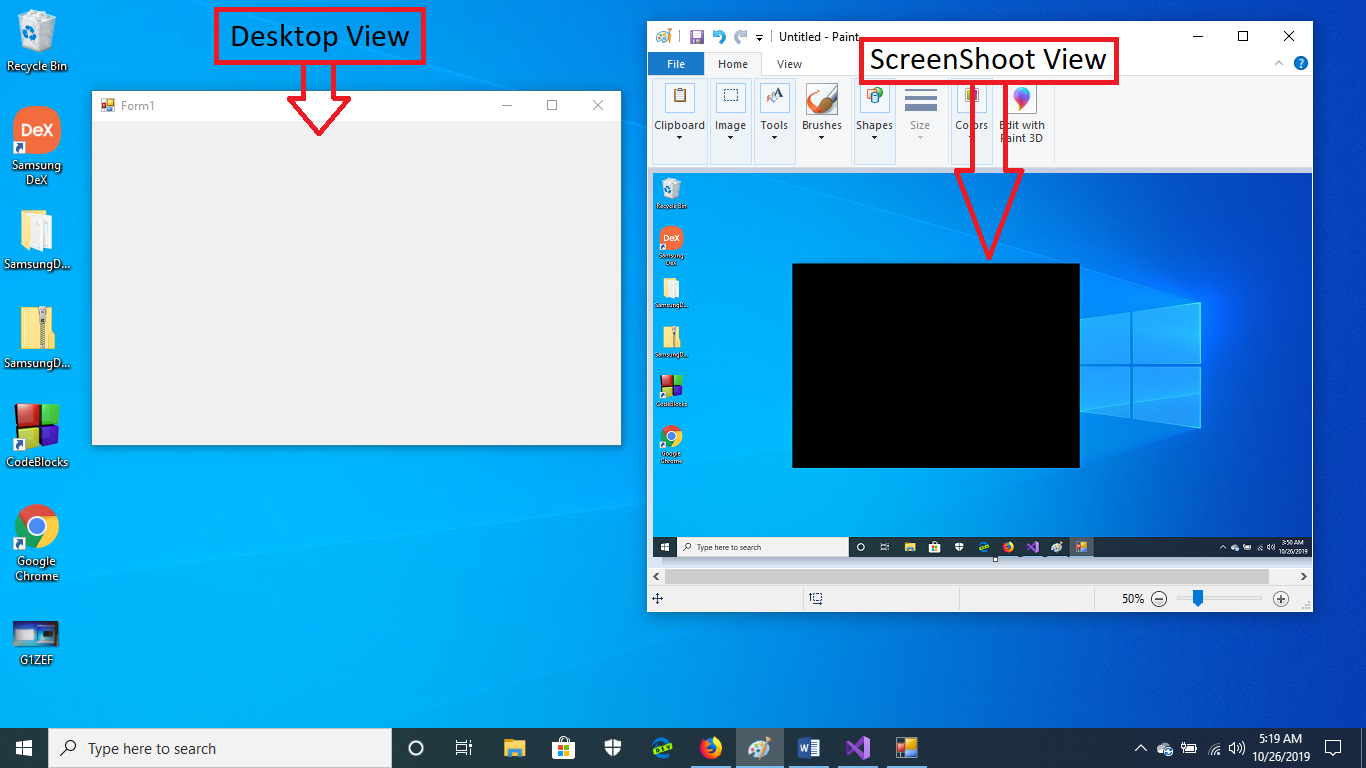 How to prevent/disable/protect screen capture of windows application