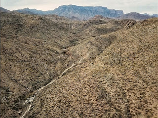 The Basin from elephant tusk