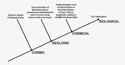 Paleontologist presents origin of life theory