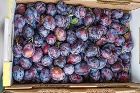  Women common Diseases  (Anemia) will be completely reduce by natural fruit Prune,