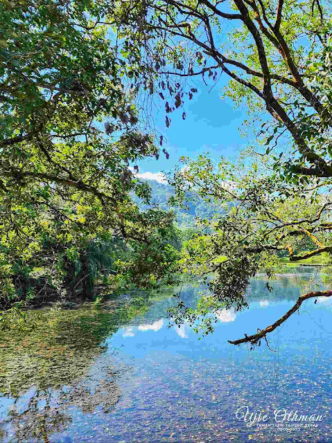 Taman Tasik Taiping - Taiping Lake Gardens