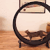 No More Fat Cats: Giant Hamster Wheel Keeps Cats Trim