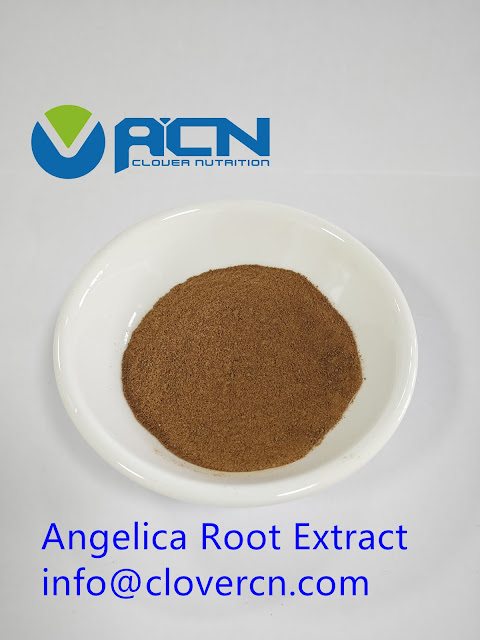Angelica Root Extract