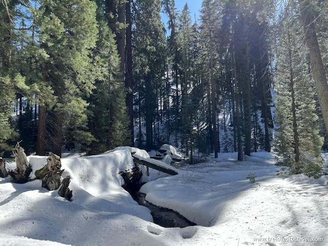 Baby-friendly and Easy Hiking Trails in Sequoia National Park