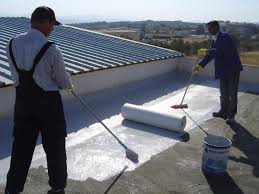 Roof Heat Proofing Paint