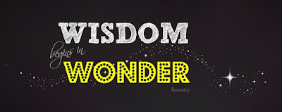 Wisdom begins in wonder. - Socrates