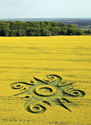 100 foto crop circle - www.pictsel.co.cc