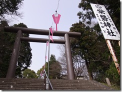 RIMG0013
