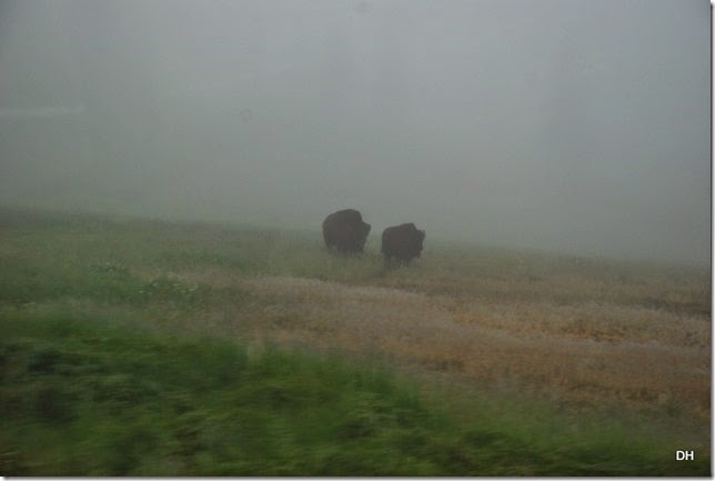 07-30-14 A Travel from E to W Yellowstone (108)