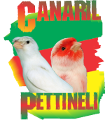 CANARIL PETTINELI