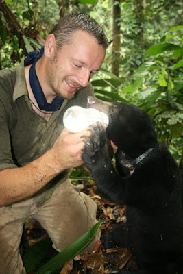 Meet Cerah, Sun Bear of Borneo