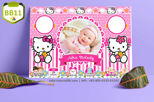 Biodata Bayi Costume Baby Girl Kode BB11 | Hello Kitty