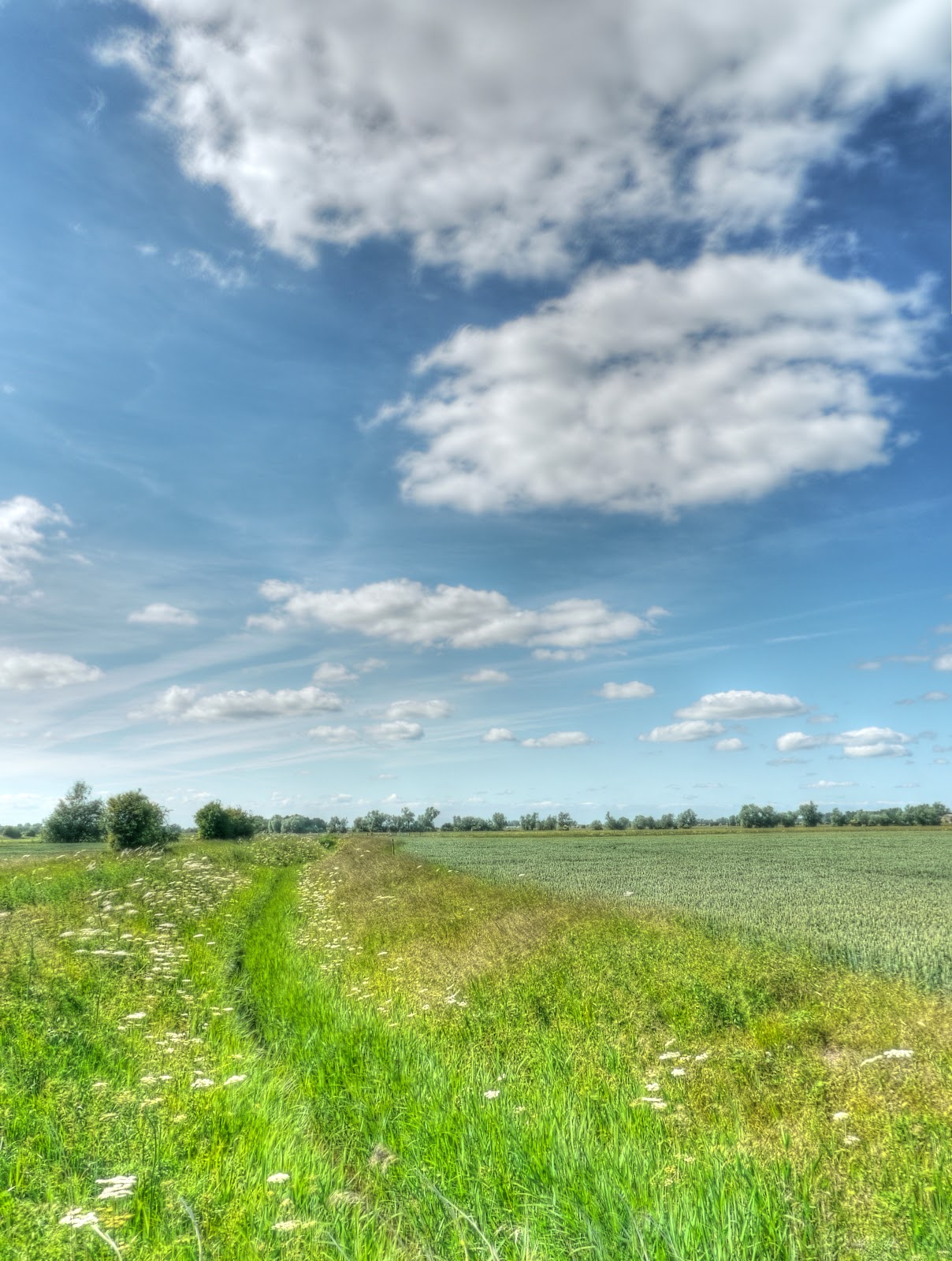P1120460_58_59_tonemapped.JPG