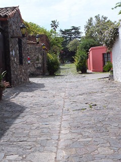 055dev-DSCF0913