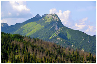 Tatrzańskie szlaki: Dolina Jaworzynki, widok na Giewont