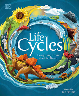 Life Cycles - Everything from Start to Finish