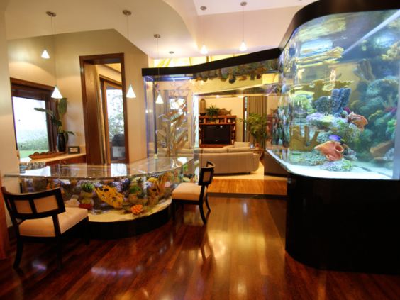 The Hawaiian Home Blog: Indoor Home Aquariums Inspiration