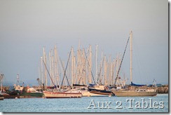morgat1
