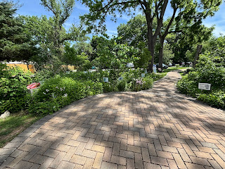 a brick path through a garden