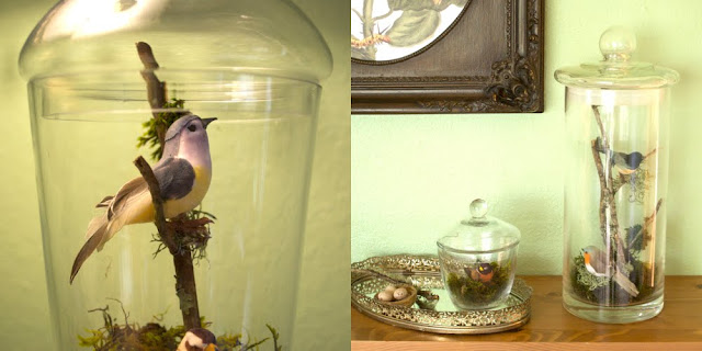 Install happy little fake birds in said apothecary jars along with some 