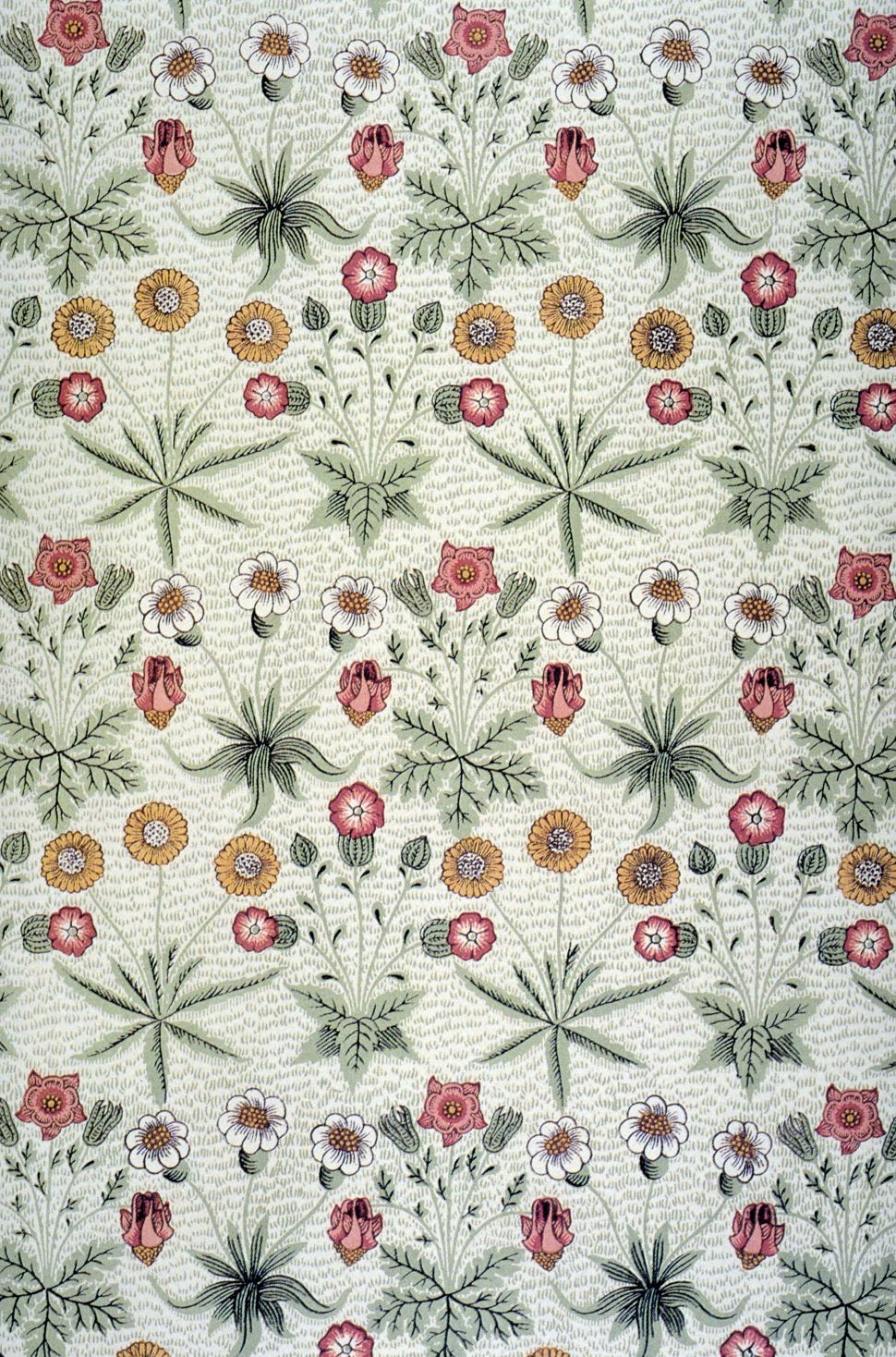 Daisy wallpaper designed by William Morris, 1864