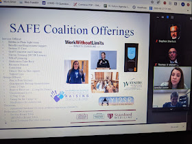 screen capture during the SAFE Coalition presentation