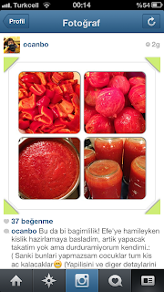 Resim