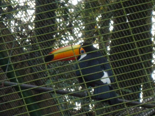 tn_PC120120.JPG