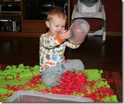 2011-02-07 Valentine's Sensory Bin (4)