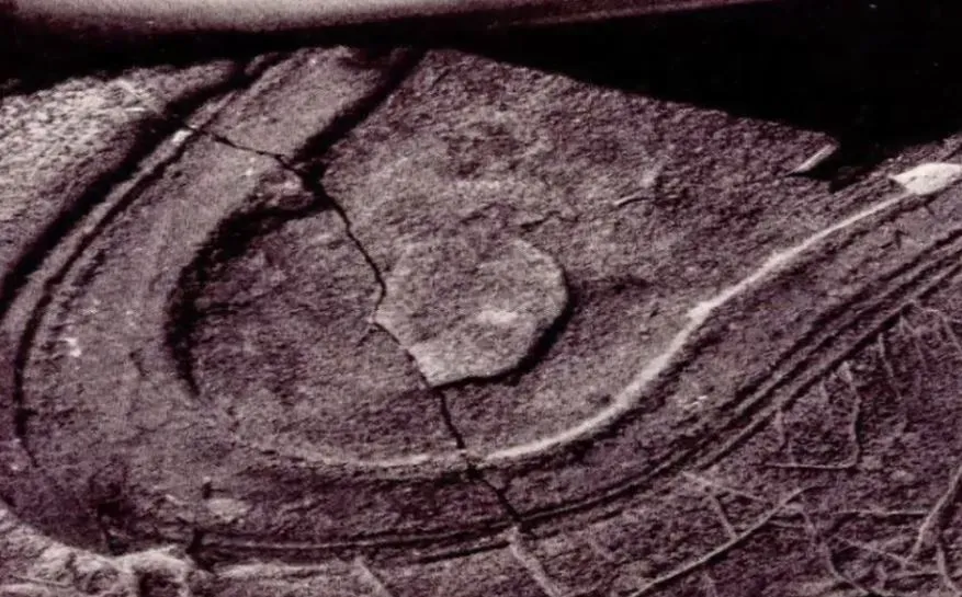 Time to rewrite history: The mystery of 200 million-year-old shoe print