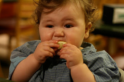 Babies Eating Lemon