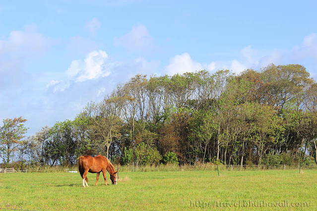 Weekendje Texel