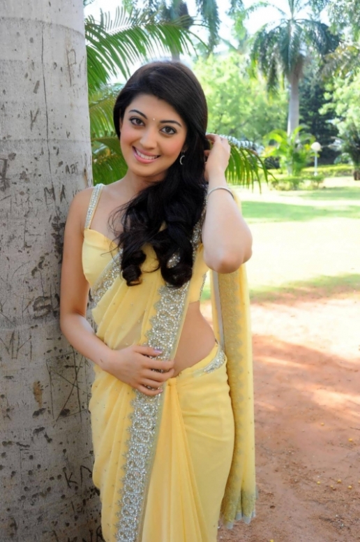 100+ Images Of Pranitha Subash Epic Saree Photo Gallery Overall Collection Of Her Career Best