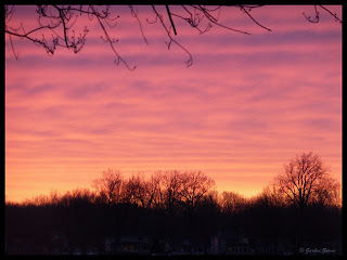 Wordless Wednesday - Shades of Red