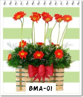 Gambar Produk 2