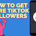 The Best TikTok Content for Attracting Followers