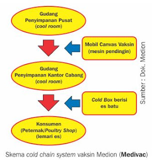 skema rantai pendinginan vaksi ternak