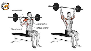 7 Best Shoulder Barbell Exercises for a Killer Workout