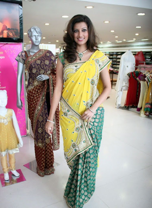 hamsa nandini saree at neeru