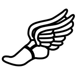 winged shoe