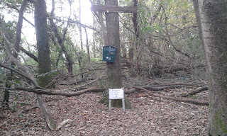 Turó d'en Vives (Sostre comarcal Maresme)