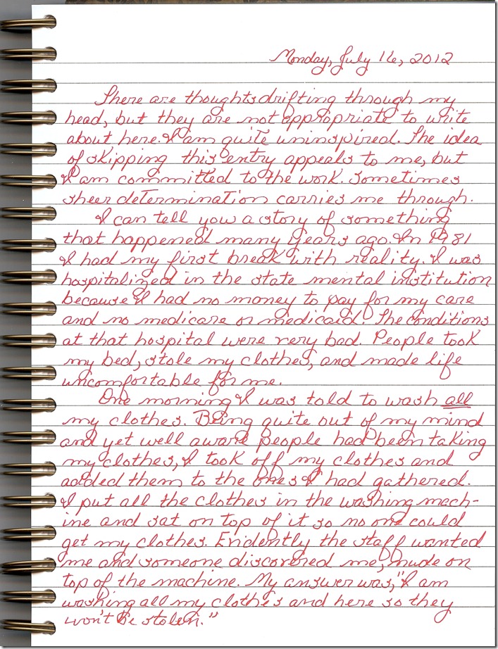 Journal 7-16-20120001