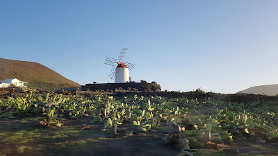 Jardin de Cactus