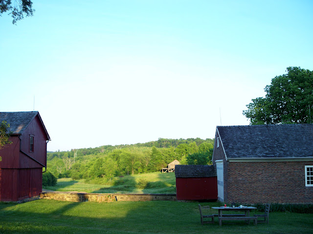 the view of the pastures at the farm