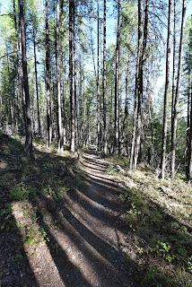 Chief Isadore Trail Cranbrook BC pathway.