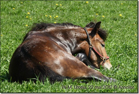 2012-22mai-beite_02