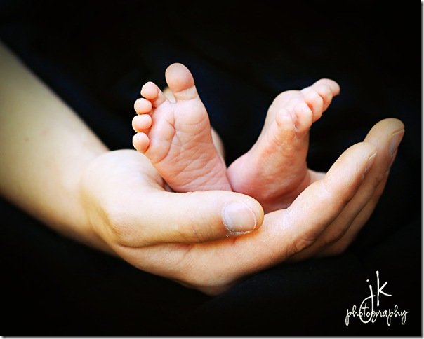 Daddys hands weblogo