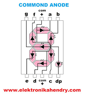 7 segment common anode