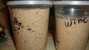 "wild yeast starters"
